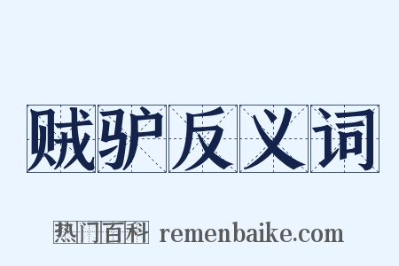 贼驴反义词是什么意思的图片